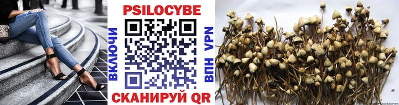 Псилоцибиновые грибы Cubensis  купить наркотики сайты  Нижний Тагил 